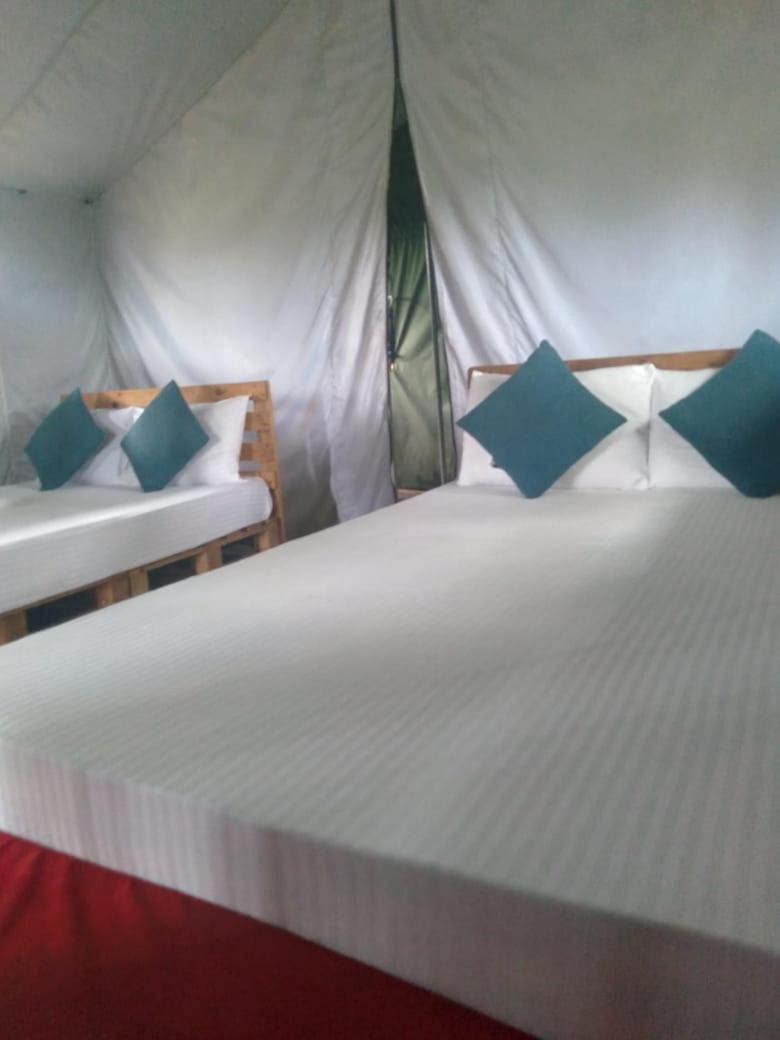 فندق Ella Glamping المظهر الخارجي الصورة