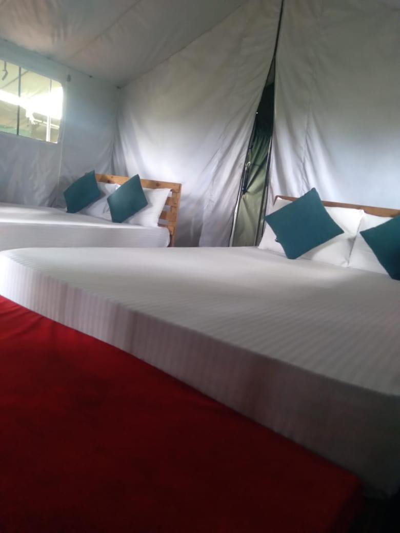 فندق Ella Glamping المظهر الخارجي الصورة