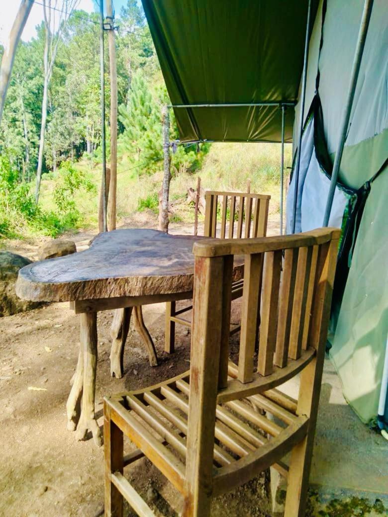 فندق Ella Glamping المظهر الخارجي الصورة