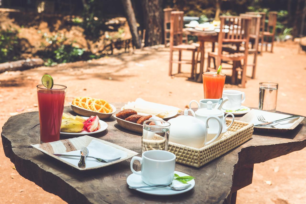 فندق Ella Glamping المظهر الخارجي الصورة