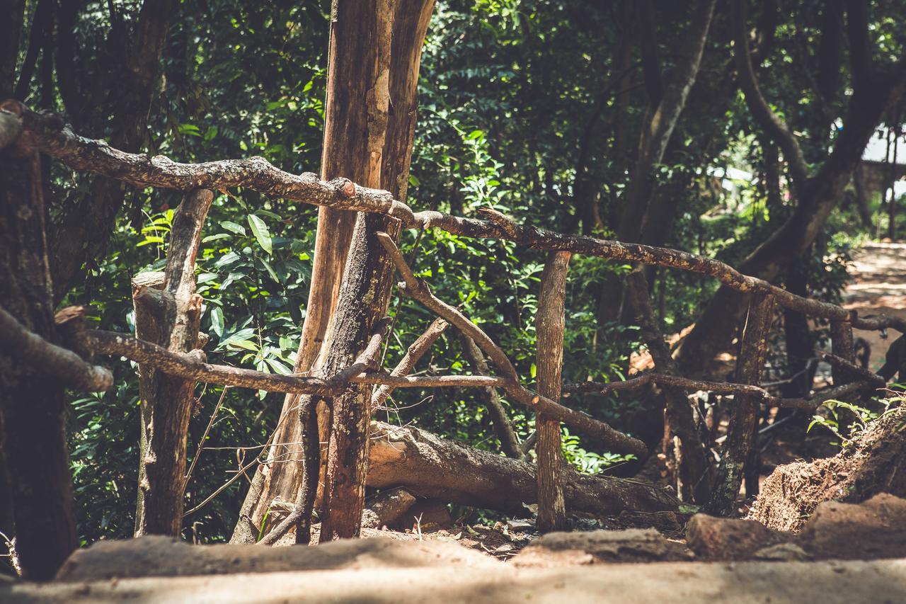 فندق Ella Glamping المظهر الخارجي الصورة