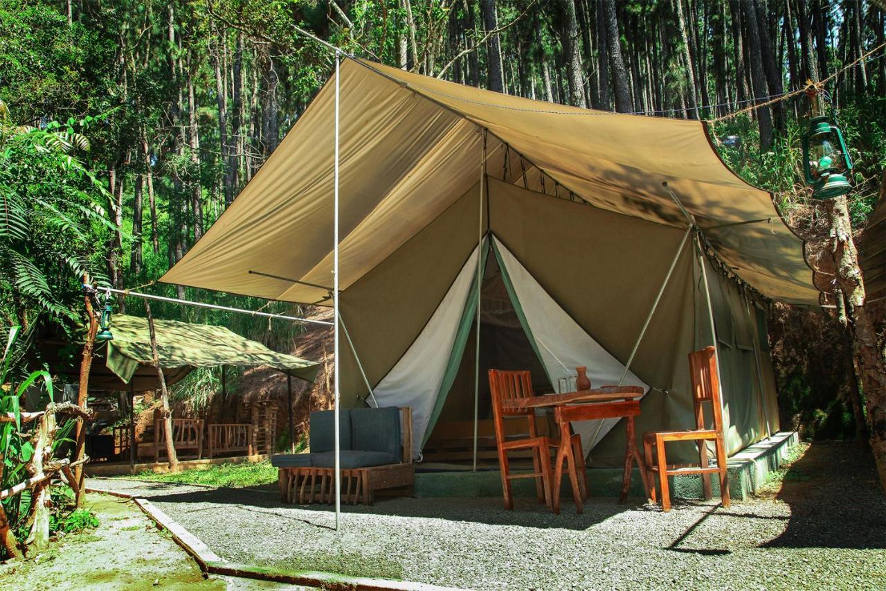 فندق Ella Glamping المظهر الخارجي الصورة