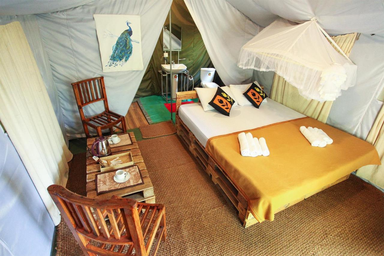 فندق Ella Glamping المظهر الخارجي الصورة