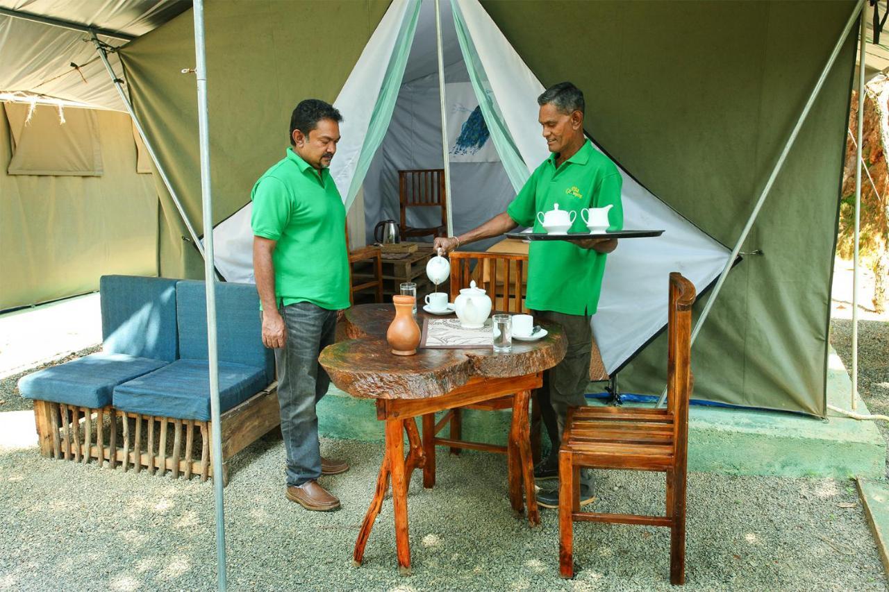 فندق Ella Glamping المظهر الخارجي الصورة