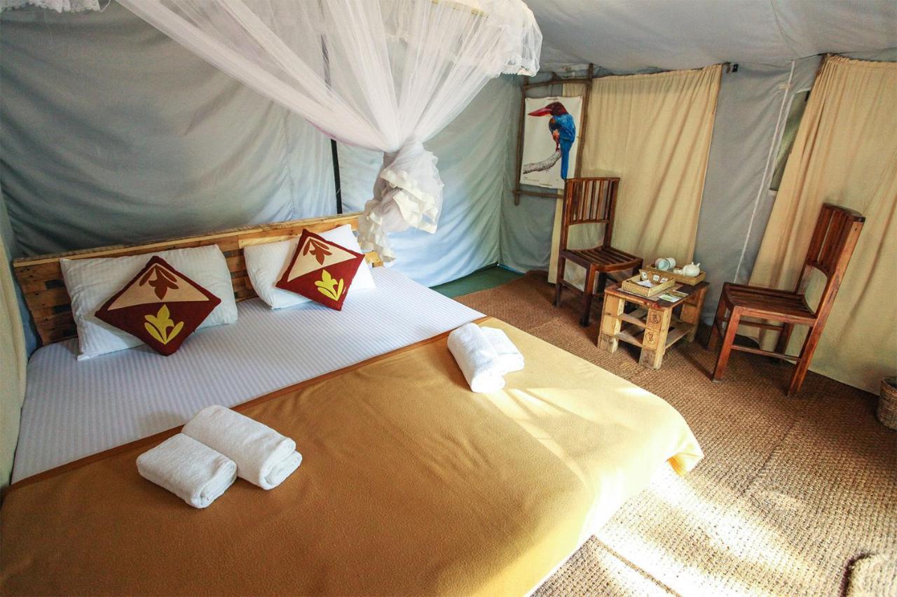 فندق Ella Glamping المظهر الخارجي الصورة