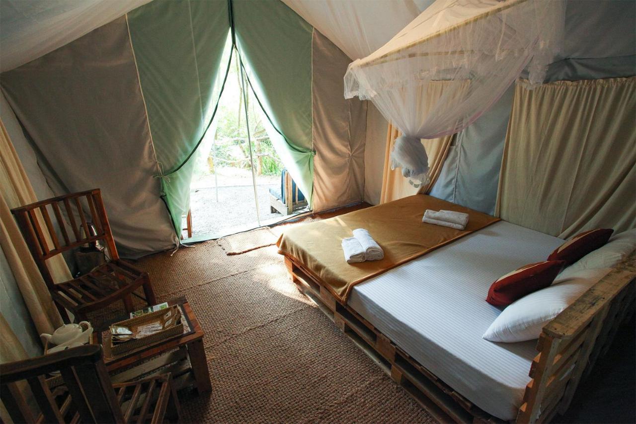 فندق Ella Glamping المظهر الخارجي الصورة